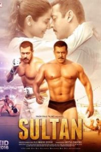 Download Sultan (2016) Hindi Movie Bluray || 720p [1.5GB] || 1080p [2.8GB]