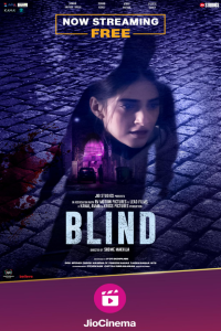 Download Blind (2023) Hindi Movie WEB-DL || 480p [400MB] || 720p [1.3GB]  || 1080p [2.8GB]